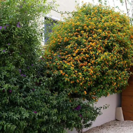 Marinea Star - 3br Coastal Retreat Near Rodafinia ヴィラ *