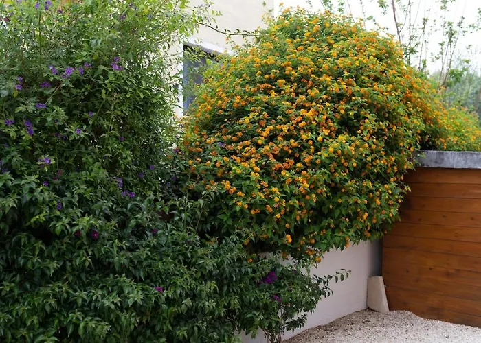 Marinea Star - 3br Coastal Retreat Near Rodafinia Vila *